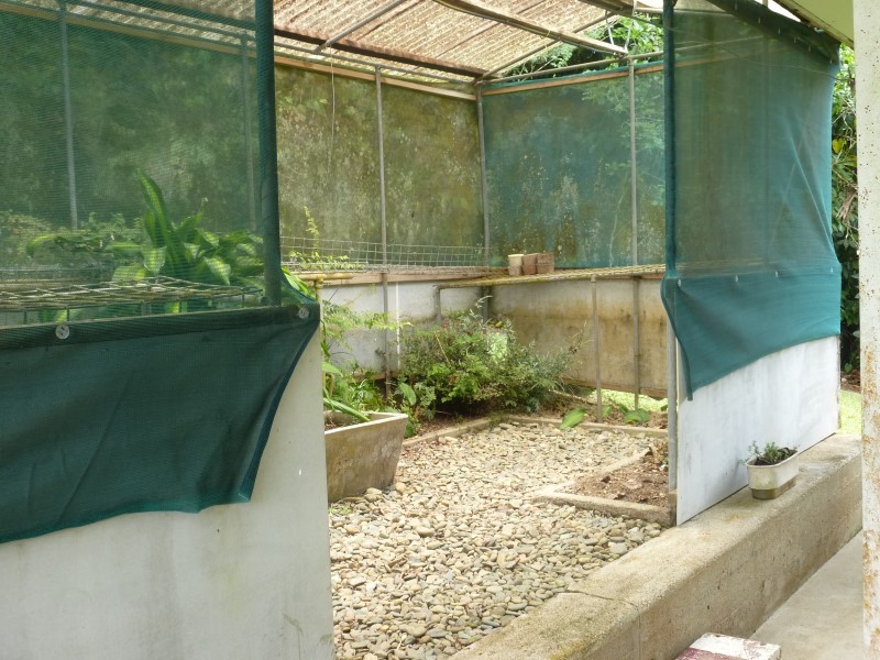 Real Estate in Babinda