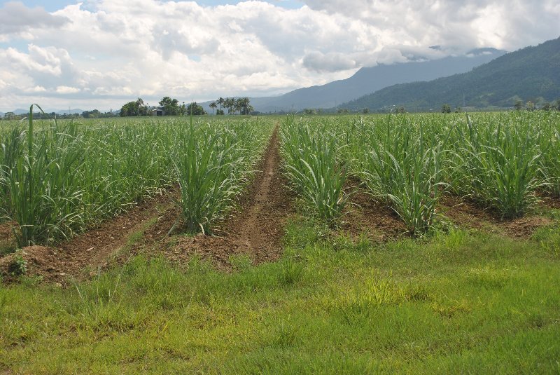 Property Sold in Babinda