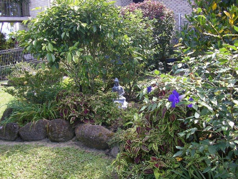 Real Estate in Babinda