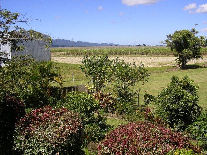 Real Estate in Babinda