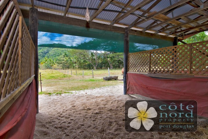 Stables and shelters in paddocks as well