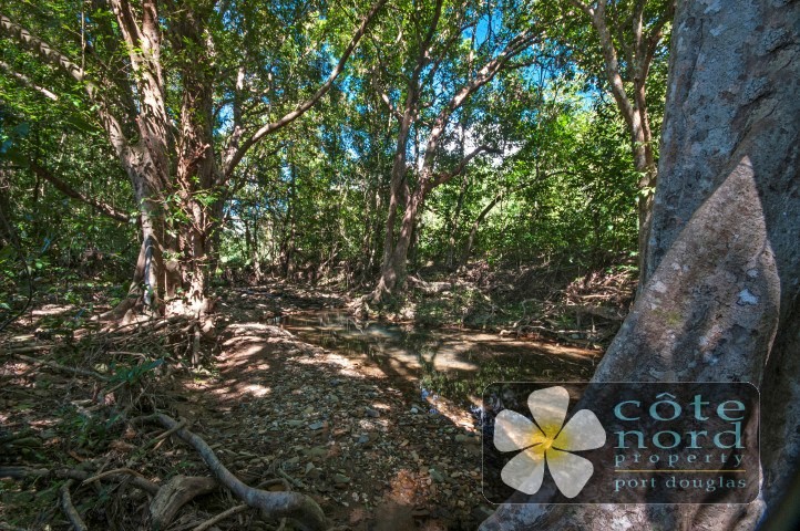 Rainforest setting, in a beautiful valley, with a 