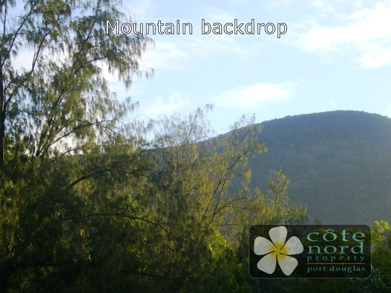 World Heritage listed rainforest clad mountain bac