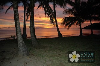 Oak beach.  Tropical!