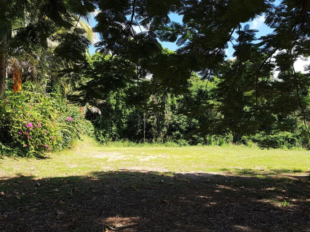 26 Oak Street block of land for sale