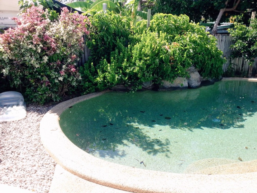 Sparkling swimming pool