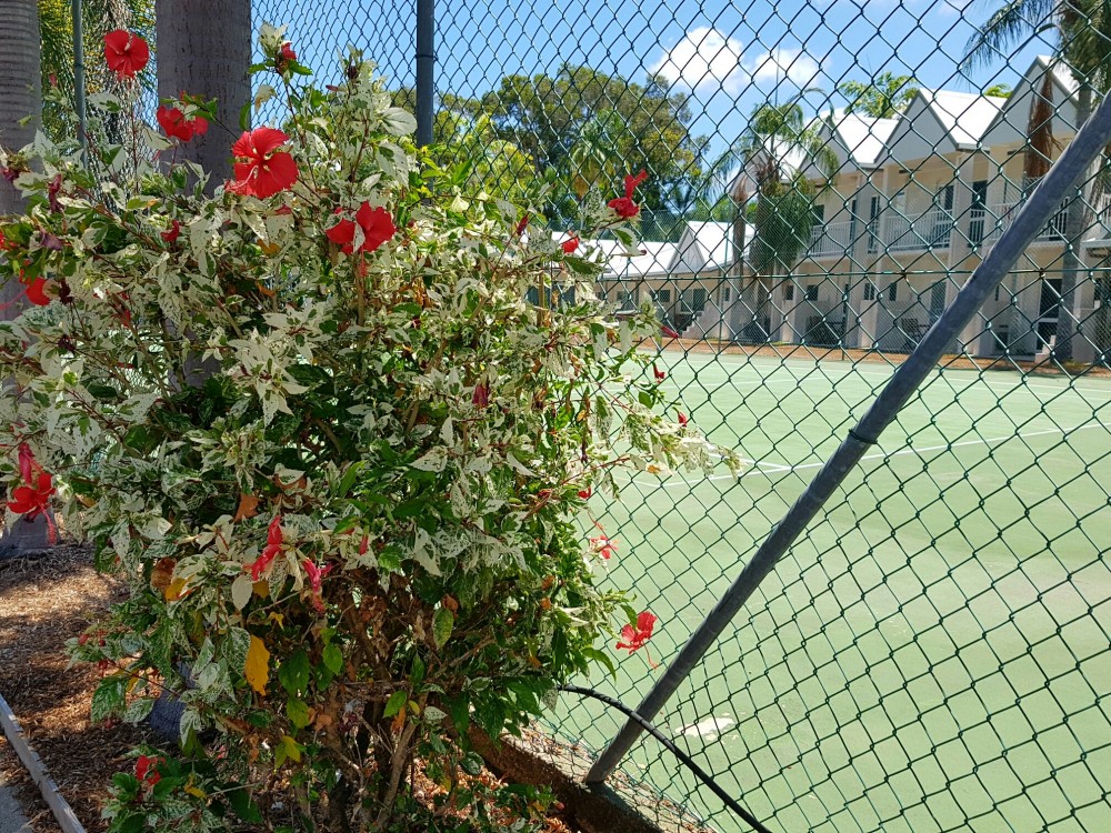Tropical gardens and a fullsize tennis court