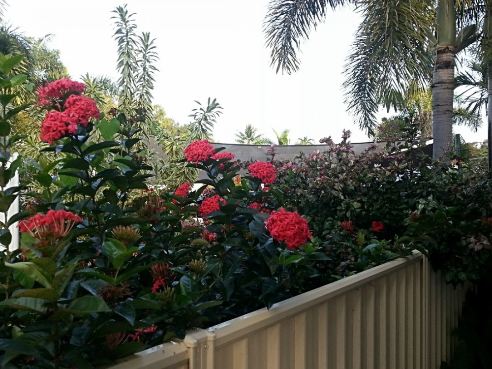 BBQ area FOC for your use