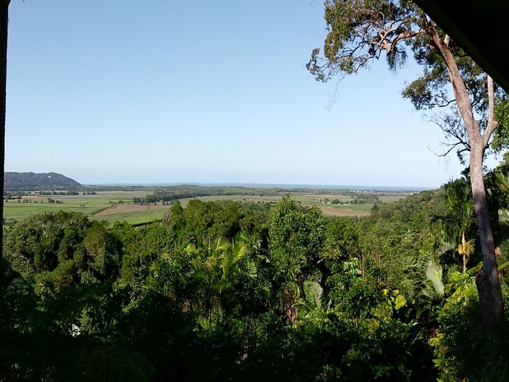 Uncluttered view toward the coast