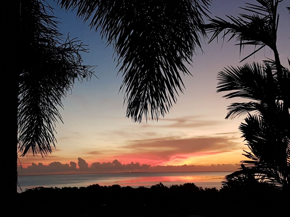 Real Estate in Wonga Beach