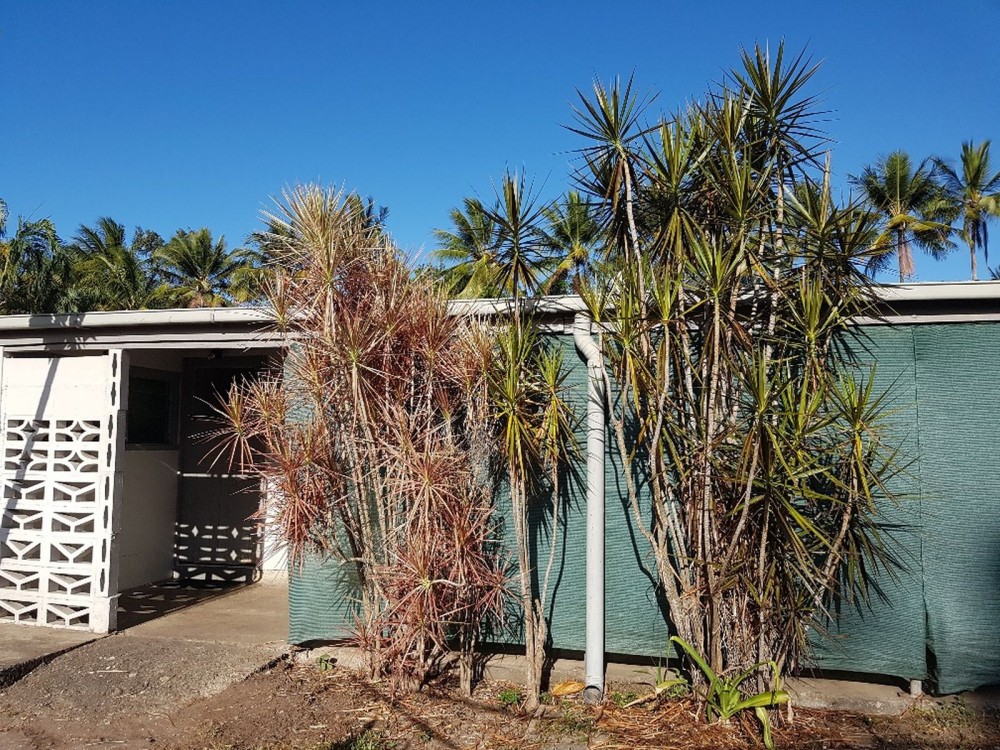 Rear view of the house