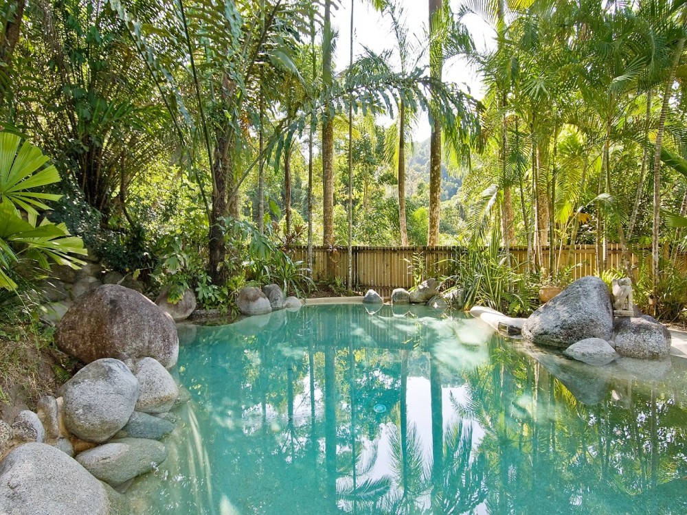 Rainforest surrounded swimming pool