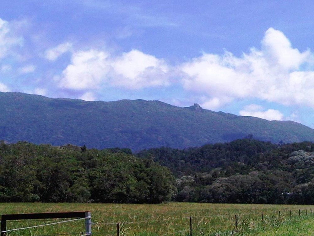 Real Estate in Port Douglas