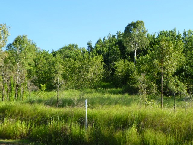 Eton Properties For Sale