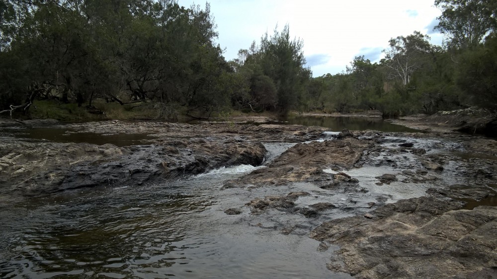 Real Estate in Rivertree