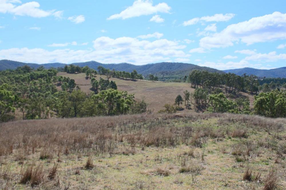 Selling your property in Rivertree