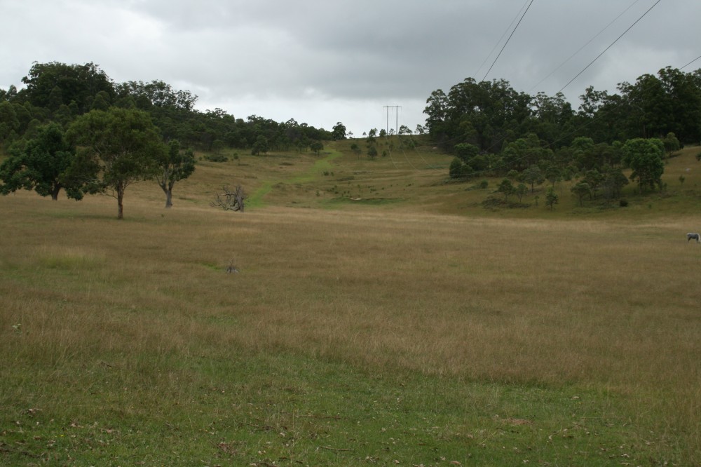 Open for inspection in Sandy Hill