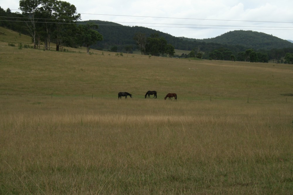 Real Estate in Sandy Hill