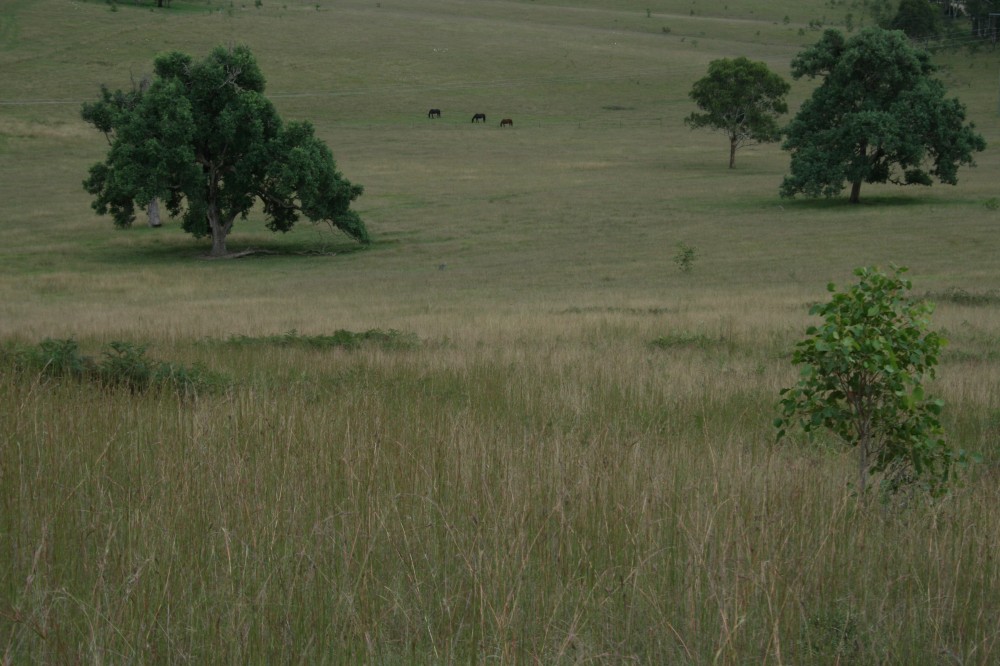 Selling your property in Sandy Hill