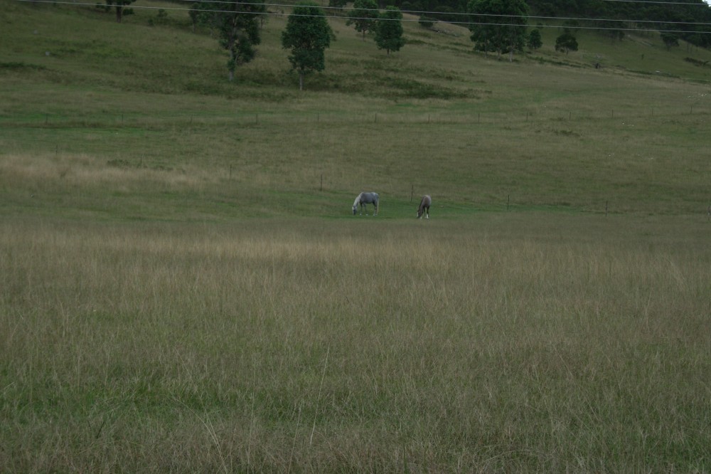 Real Estate in Sandy Hill