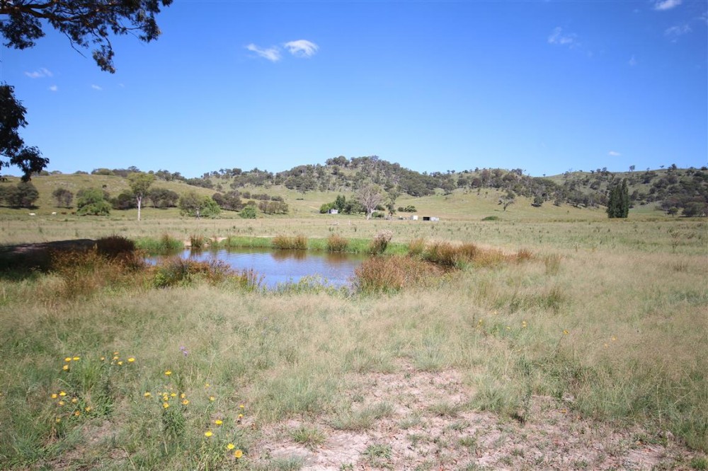 Real Estate in Tenterfield