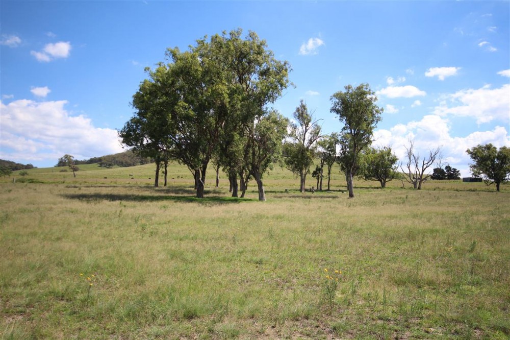 Real Estate in Tenterfield