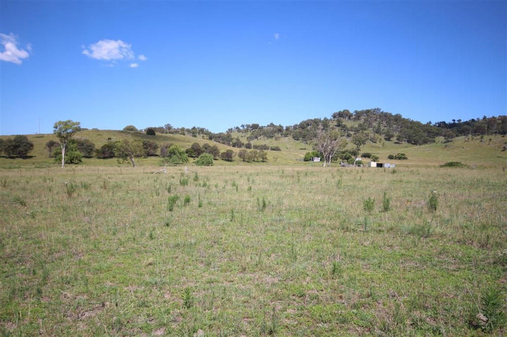 Real Estate in Tenterfield