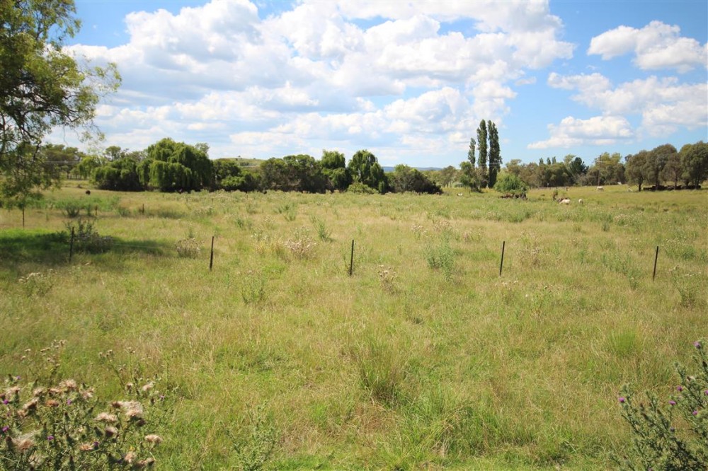 Real Estate in Tenterfield