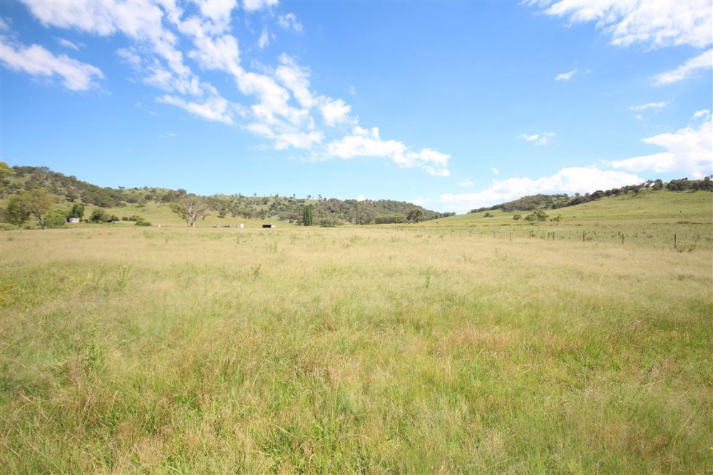 Real Estate in Tenterfield