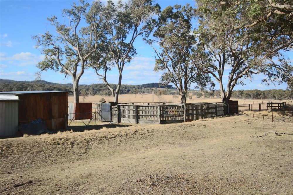 Real Estate in Tenterfield