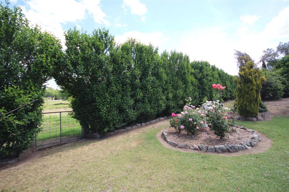 Real Estate in Tenterfield