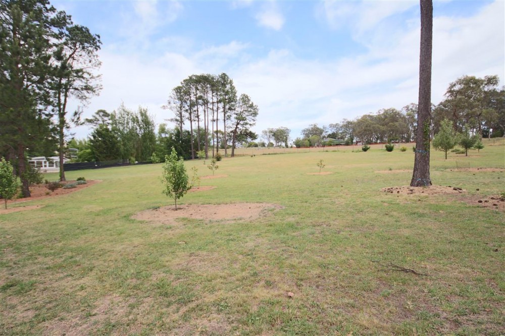 Real Estate in Tenterfield