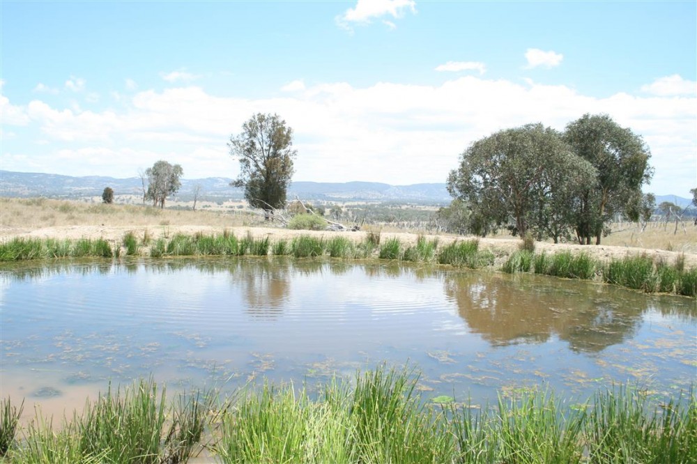 Property For Sale in Tenterfield