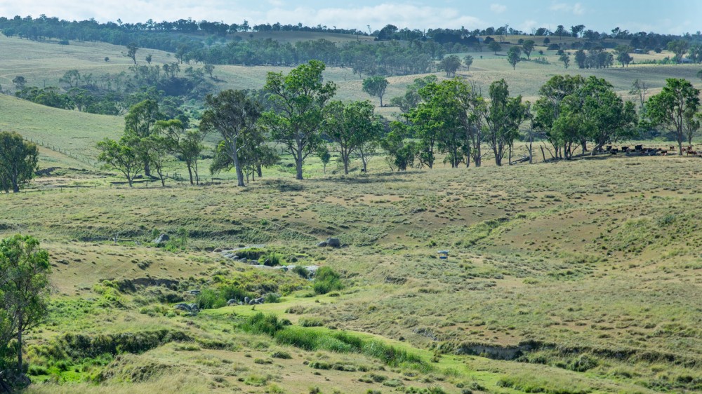 Real Estate in Tenterfield