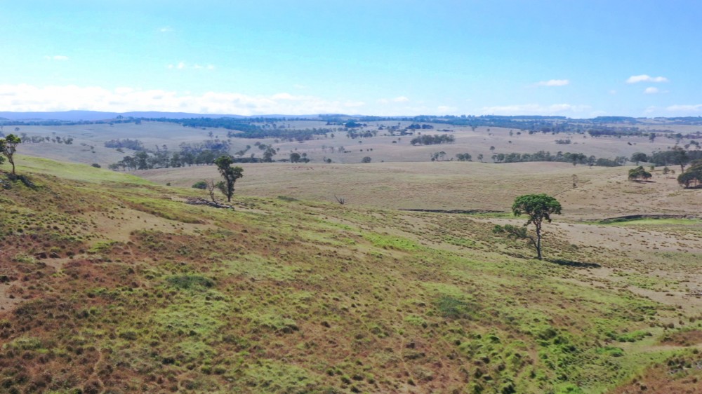 Real Estate in Tenterfield