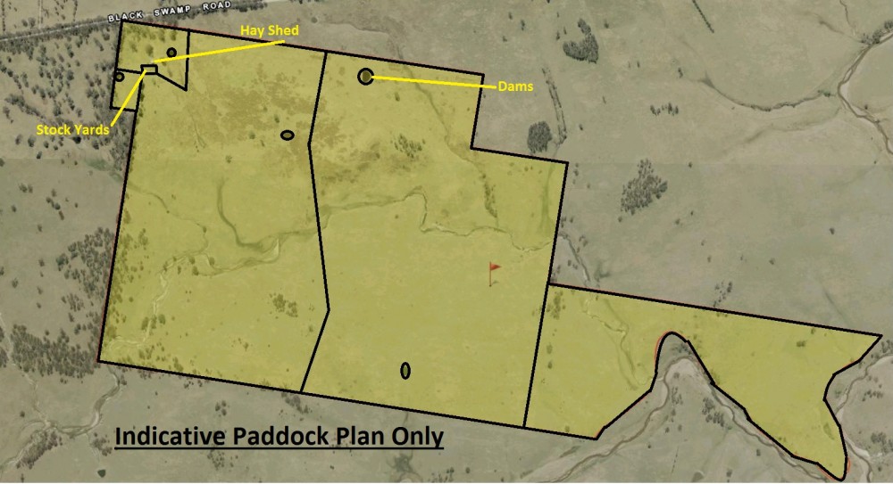 Real Estate in Tenterfield