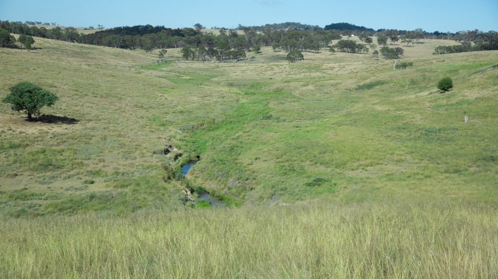 Tenterfield Properties For Sale