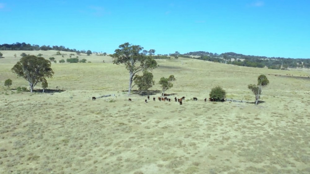 Open for inspection in Tenterfield