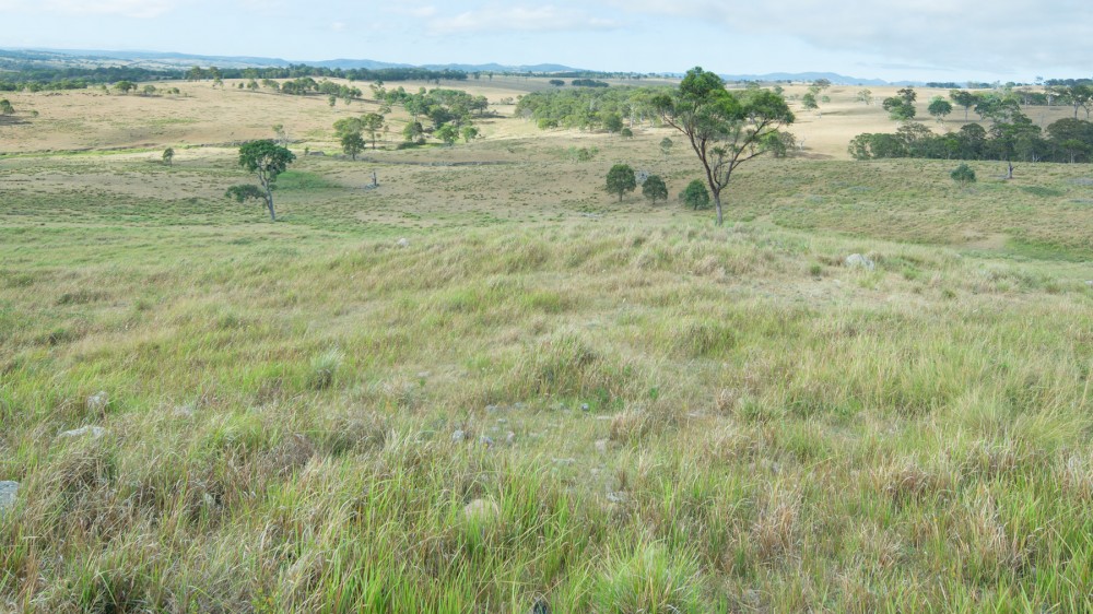 Selling your property in Tenterfield