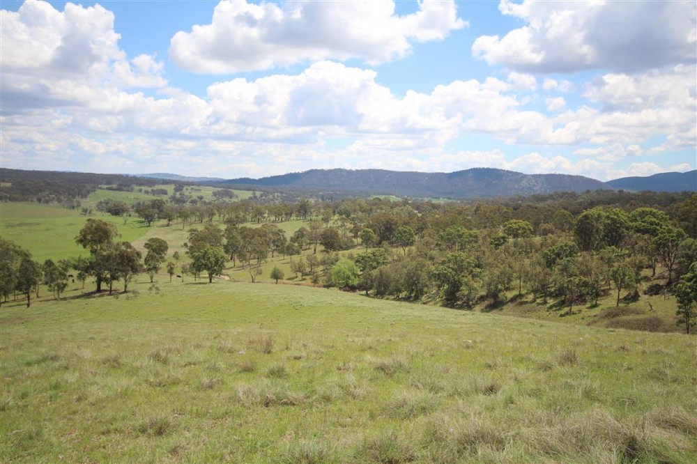 Real Estate in Tenterfield