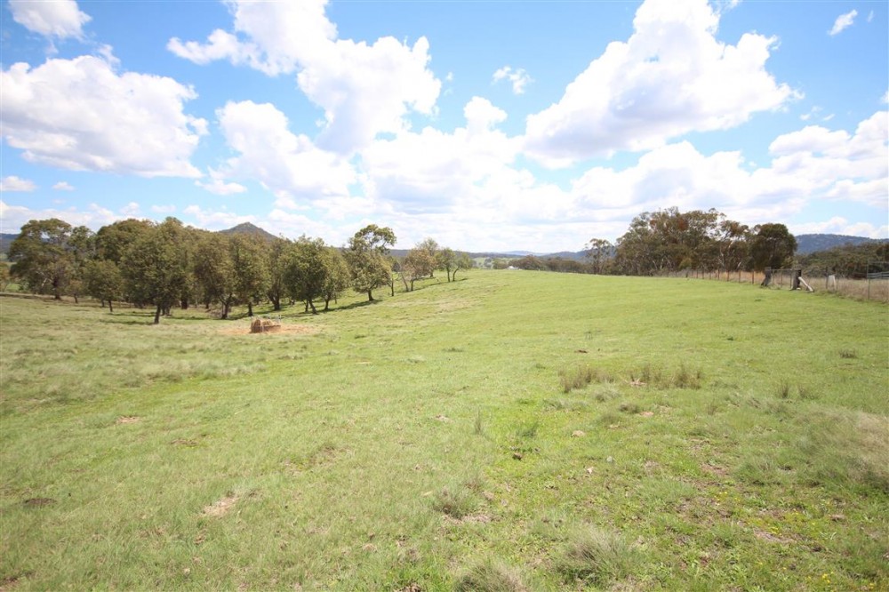 Real Estate in Tenterfield