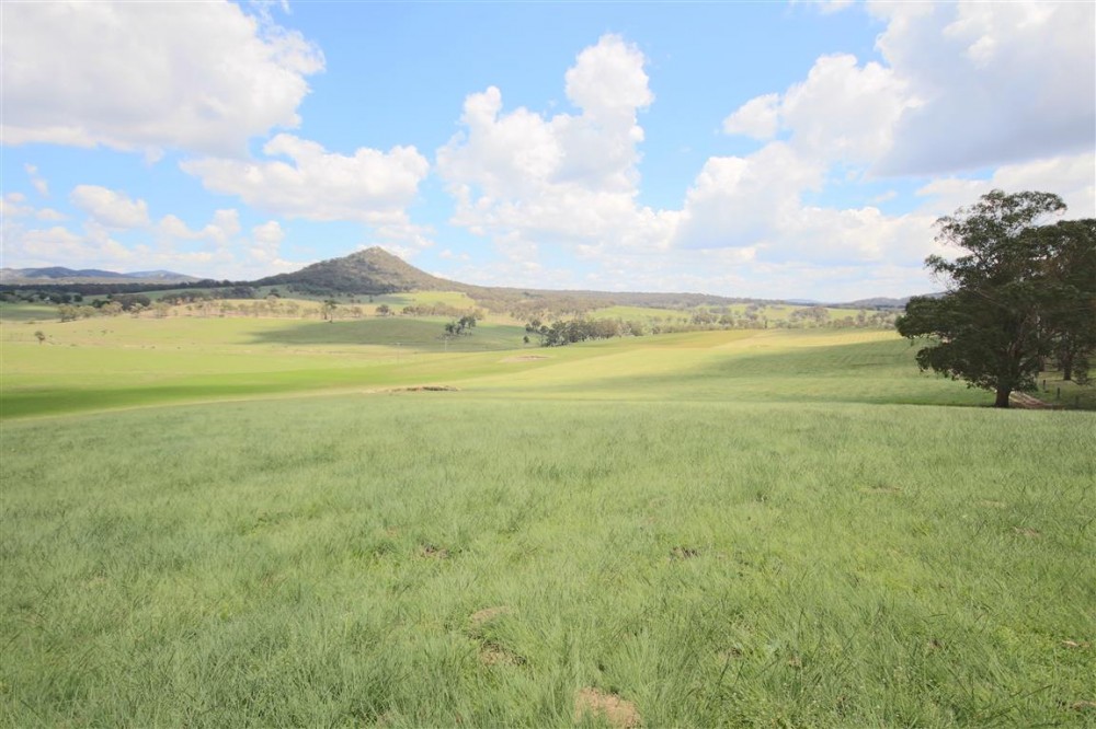 Real Estate in Tenterfield