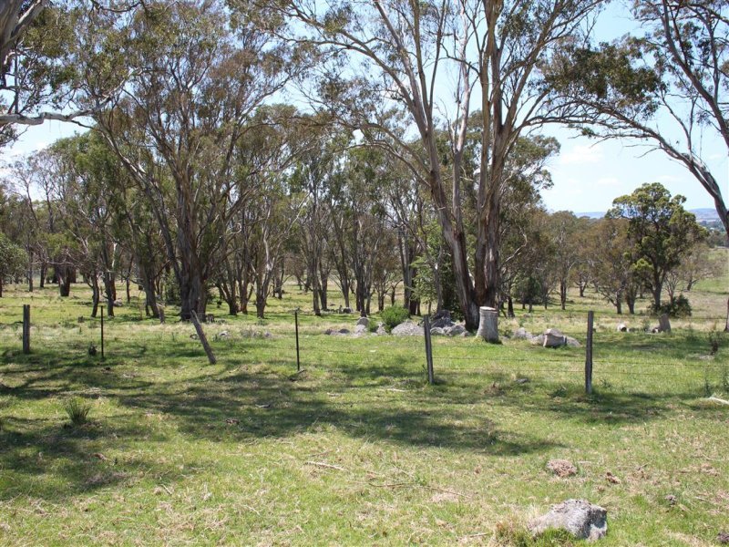 Real Estate in Tenterfield