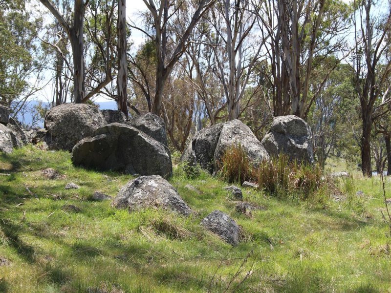 Real Estate in Tenterfield