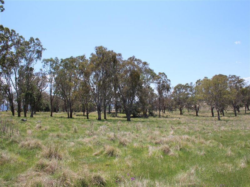 Real Estate in Tenterfield