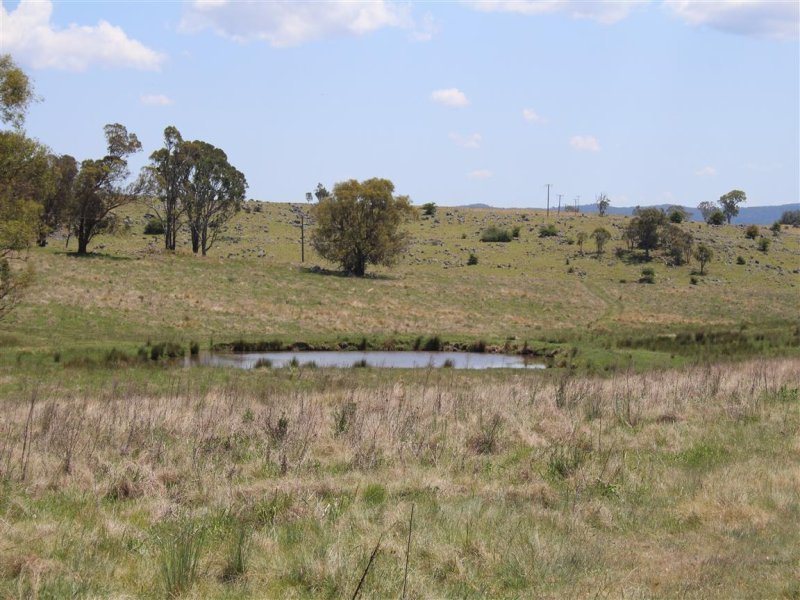 Real Estate in Tenterfield