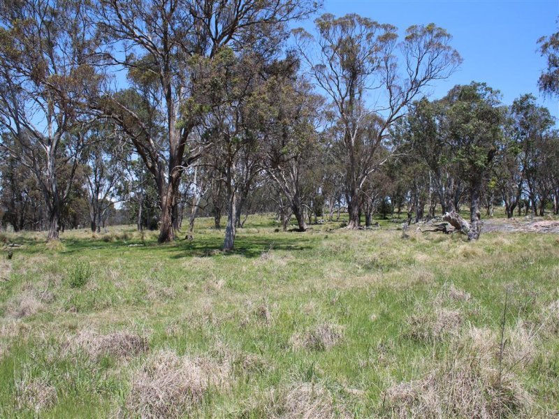 Real Estate in Tenterfield