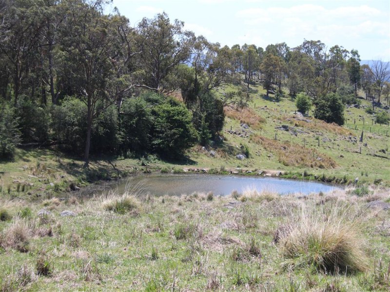 Real Estate in Tenterfield