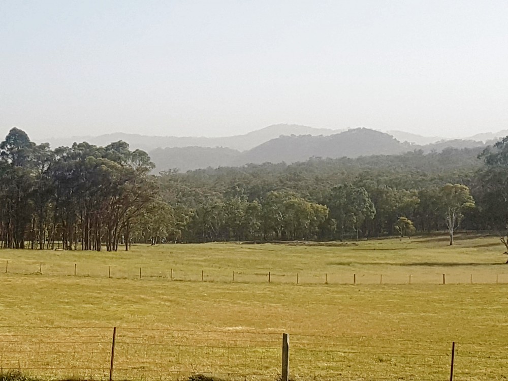 Real Estate in Tenterfield