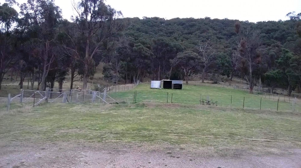 Real Estate in Tenterfield